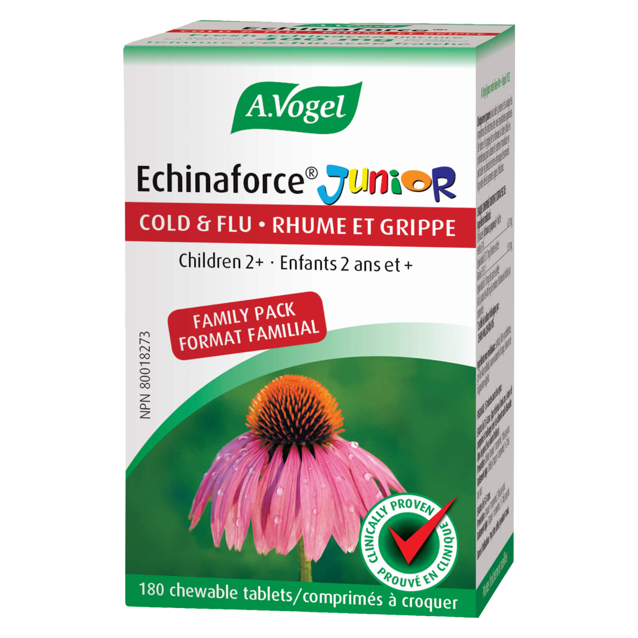 Echinaforce Junior Cold & Flu Chewable Tablets for Kids - Immune Support & Relief - Natural Echinacea Supplement for Children's Health - Perfect for School, Travel & Seasonal Wellness