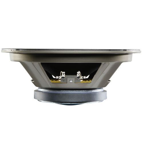 Celestion G10 Vintage 16 Ohm 10-Inch 60W Guitar Speaker - T5381 - Perfect for Blues, Rock & Vintage Amp Tones