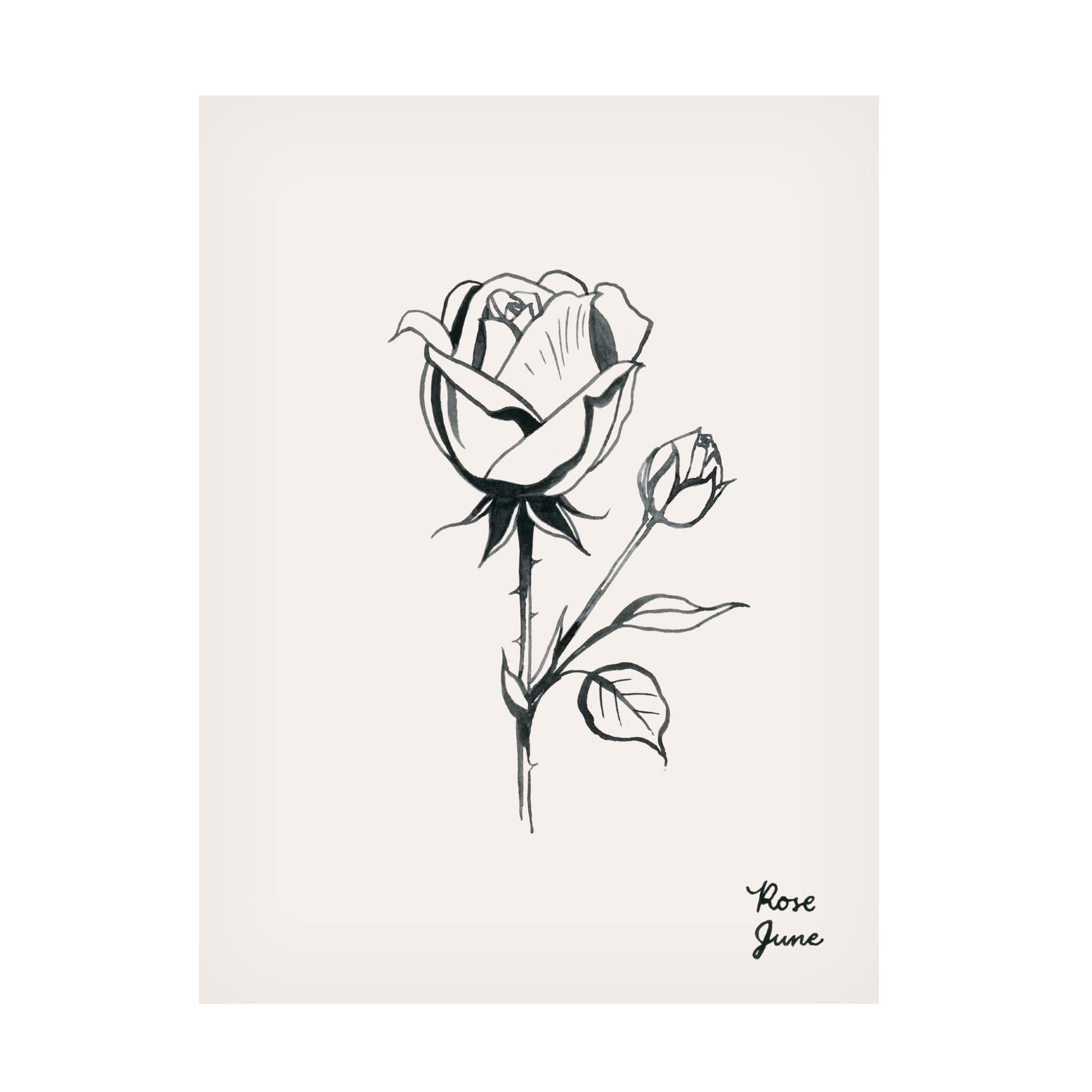 Grace Popp 'Annual Flowers VI' Canvas Wall Art - Floral Botanical Painting for Home & Office Decor - Perfect for Living Room, Bedroom, or Gift