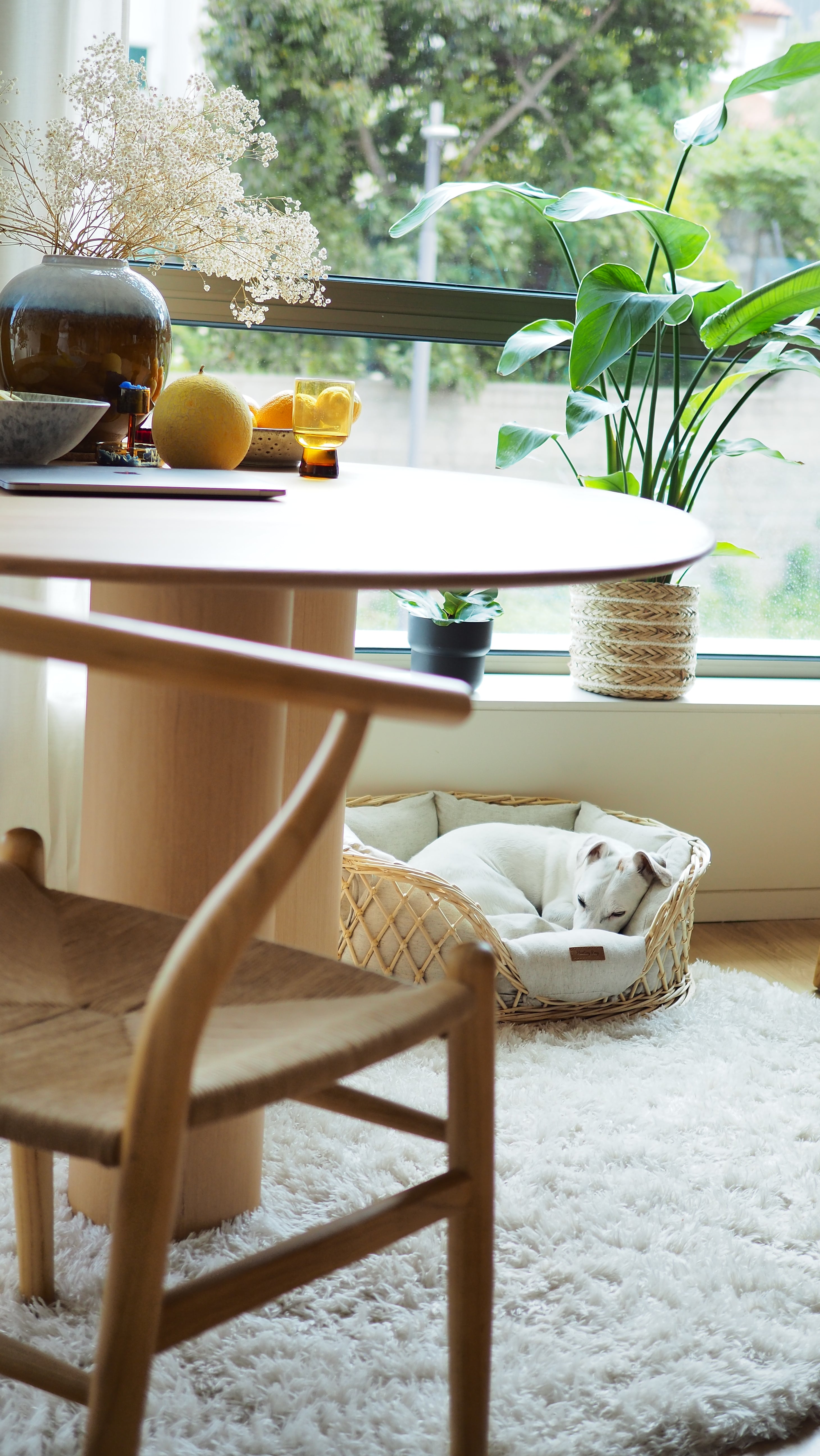 Premium Orthopedic Dog Bed for Small to Medium Dogs - Waterproof & Washable Pet Sofa with Removable Cover - Perfect for Indoor, Outdoor, Balcony & Pony Use