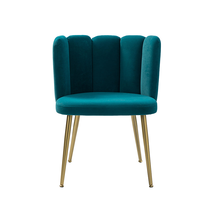 Elodia Side Chair - Modern Accent Chair for Dining Room, Living Room & Office - Sturdy Wooden Frame with Upholstered Seat - Perfect for Home Decor & Small Spaces