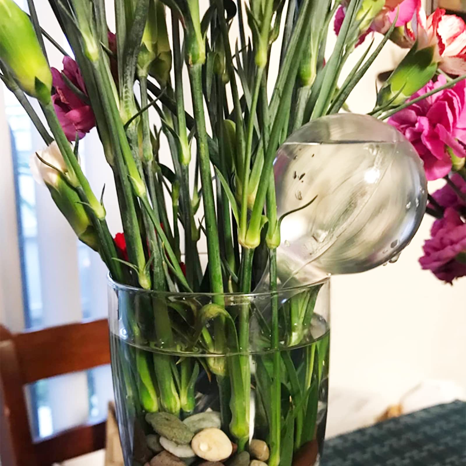 Anyumocz 8-Piece Clear Self-Watering Globes - Automatic Plant Watering Devices for Indoor & Outdoor Gardens (Small) - Perfect for Vacation Care & Busy Plant Lovers