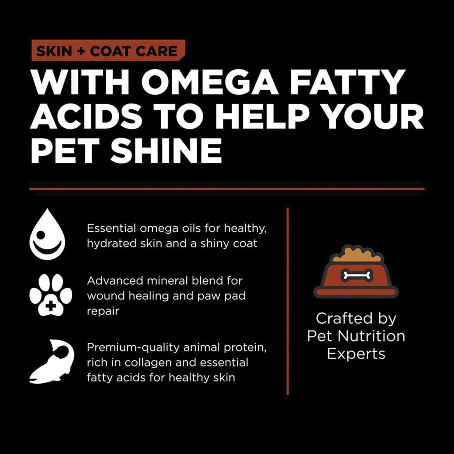 Go! Solutions Skin & Coat Care Large Breed Salmon Recipe with Grains Dry Dog Food - Premium Omega-Rich Nutrition for Healthy Skin & Shiny Coat - Ideal for Large Breed Adult Dogs at Home or Outdoor Activities