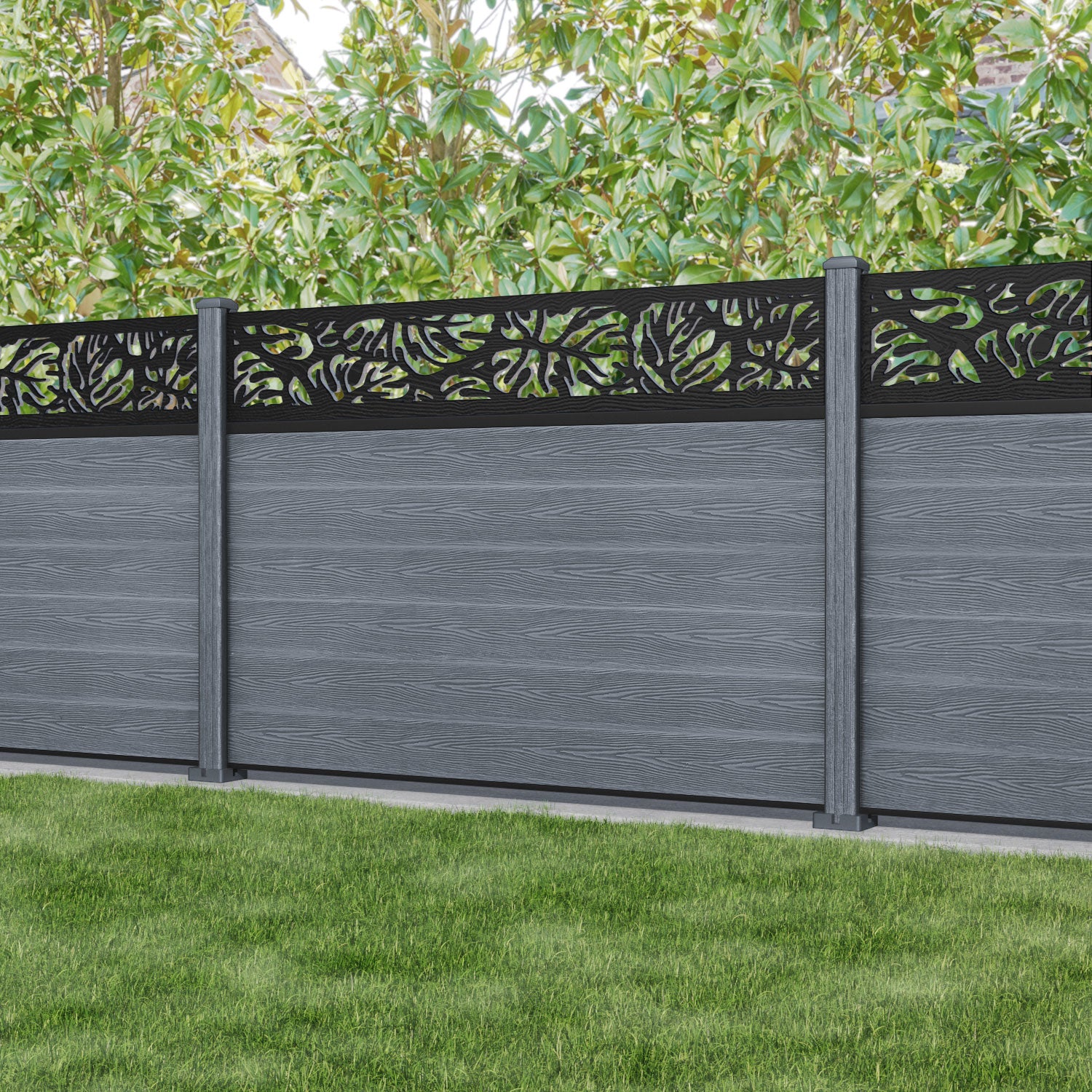 Anthracite