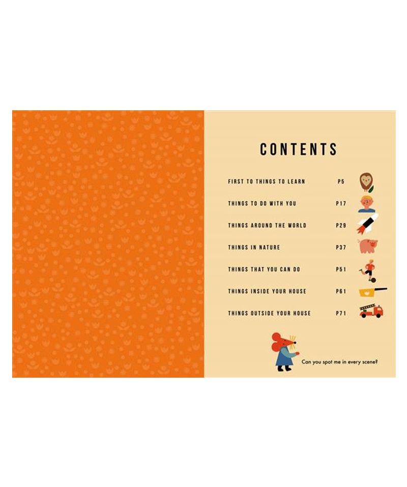 One Thousand Things by Anna Kovecses - Illustrated Children's Book for Early Learning & Vocabulary Development | Perfect for Bedtime Stories, Classroom Reading & Gift Giving