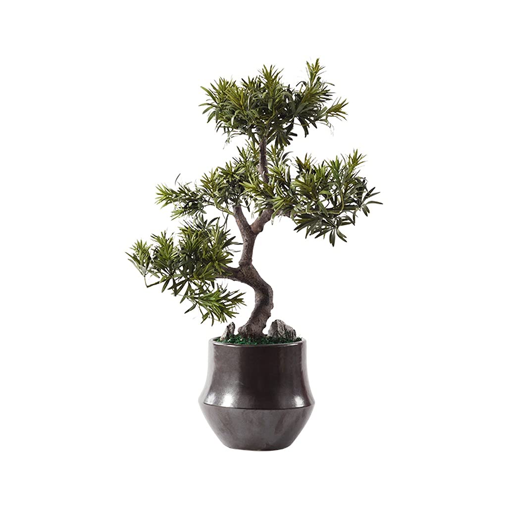TOMYEUS Artificial Bonsai Tree - Fake Potted Plant in Ceramic Flowerpot, Realistic Tabletop Greenery for Home & Office Decor - Perfect for Living Room, Study, Desk & Shelf Decoration