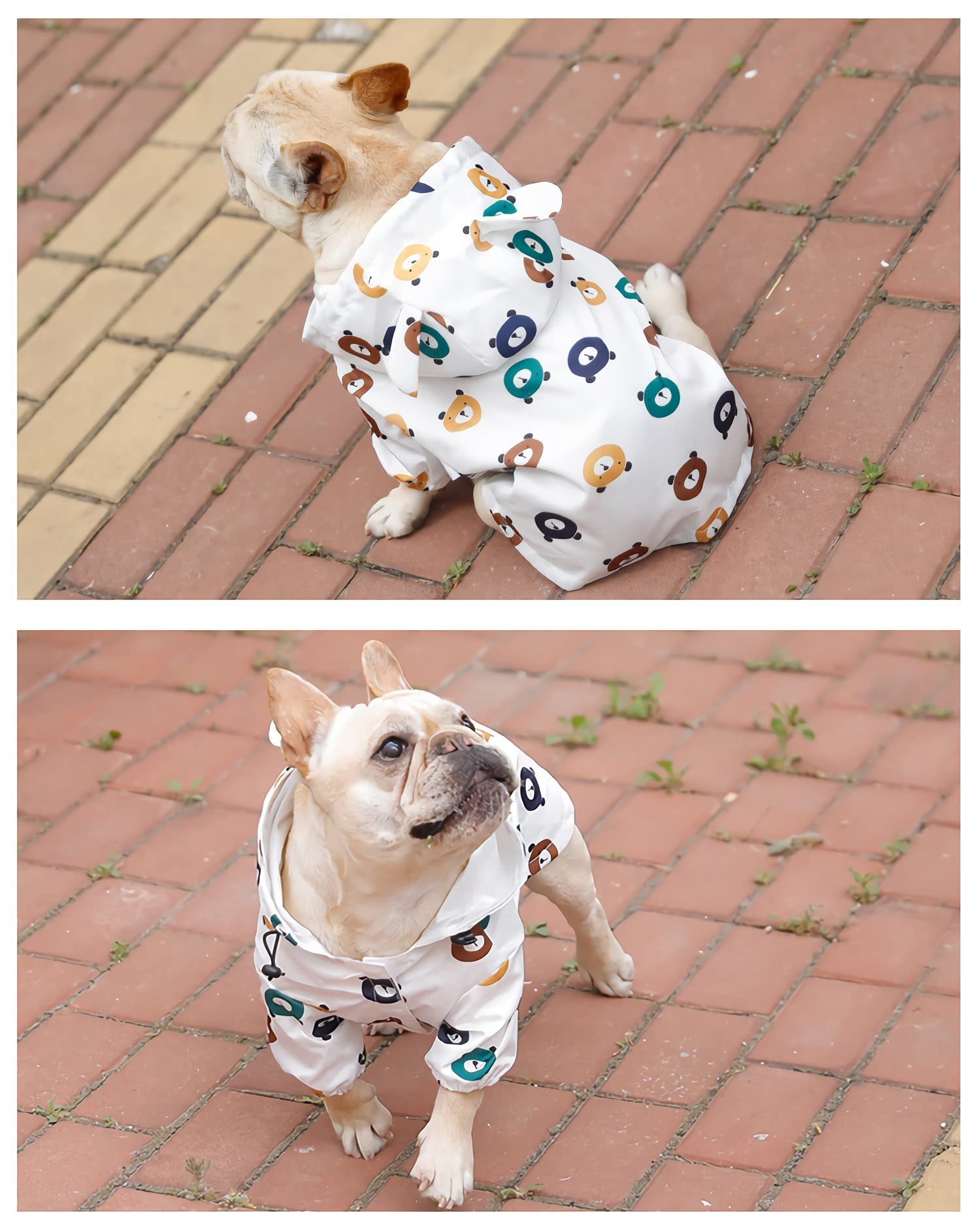 Waterproof Dog Raincoat for Small & Medium Dogs - Cute Cartoon Print Hooded Poncho for Pets | Perfect for Rainy Walks & Outdoor Adventures