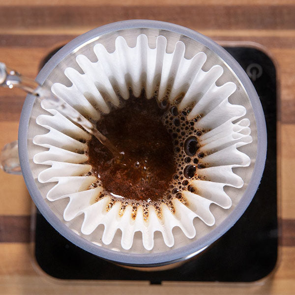 Espro Bloom Paper Filters - Premium Coffee Drip Filters for Pour Over & Chemex Brewing - Perfect for Home Baristas & Specialty Coffee Lovers