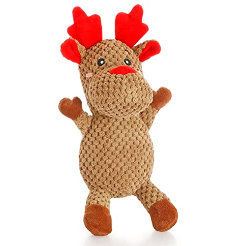Reindeer