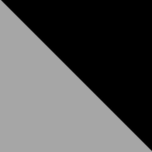 Silver/Black
