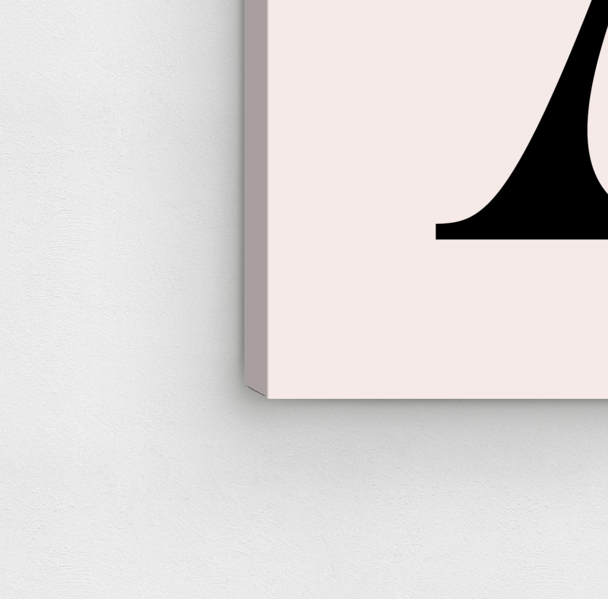 Botanical A Pink & Black Wall Art Canvas Print - 36
