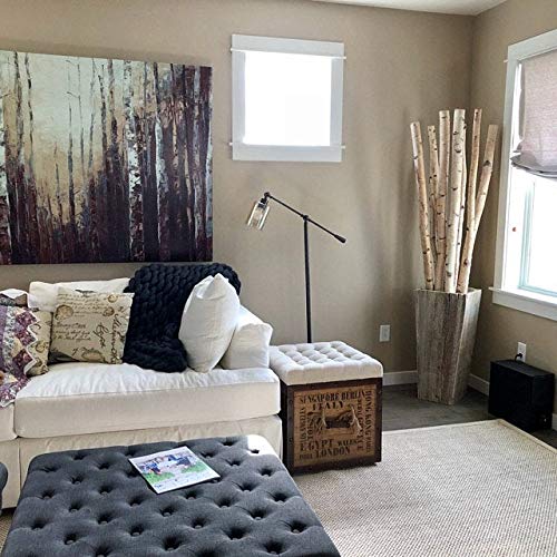 Wilson 5ft Decorative Birch Poles - Natural Wood Sticks for DIY Crafts, Home Decor & Garden Projects (Set of 4 Poles, 1.5-2.5 inch Diameter) - Perfect for Wedding Centerpieces, Rustic Decor & Plant Supports