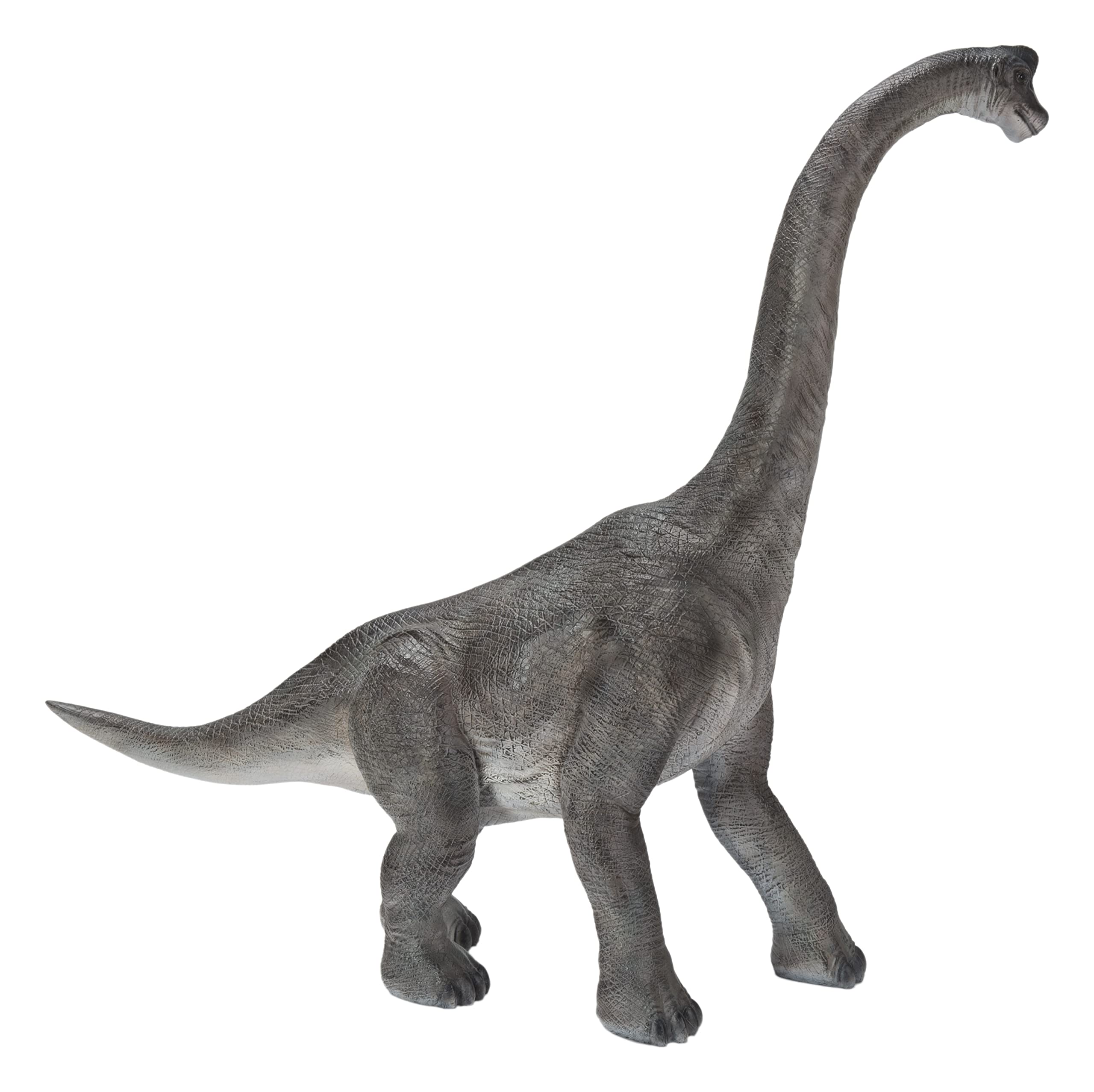 Hi-Line Gift Dinosaur Brachiosaurus Toy - Realistic Dinosaur Figure for Kids, Collectors & Educational Play | Perfect for Birthday Gifts, Classroom Learning & Jurassic-Themed Decor