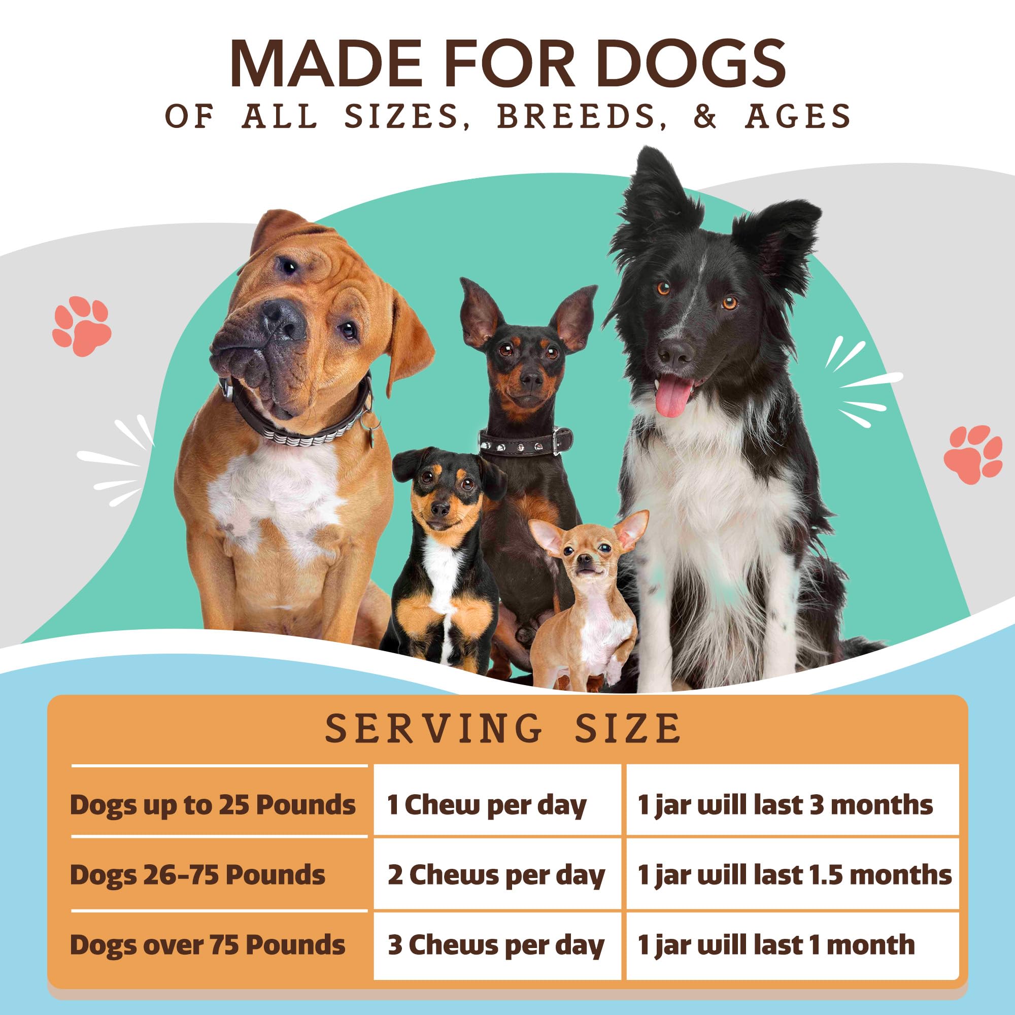 Natural Dog Company Multivitamin Chews (90 Count) - Peanut Butter & Bacon Flavor Dog Vitamins for All Ages & Breeds - Immune Support & Antioxidant Supplement - Perfect for Daily Health Maintenance & Active Dogs