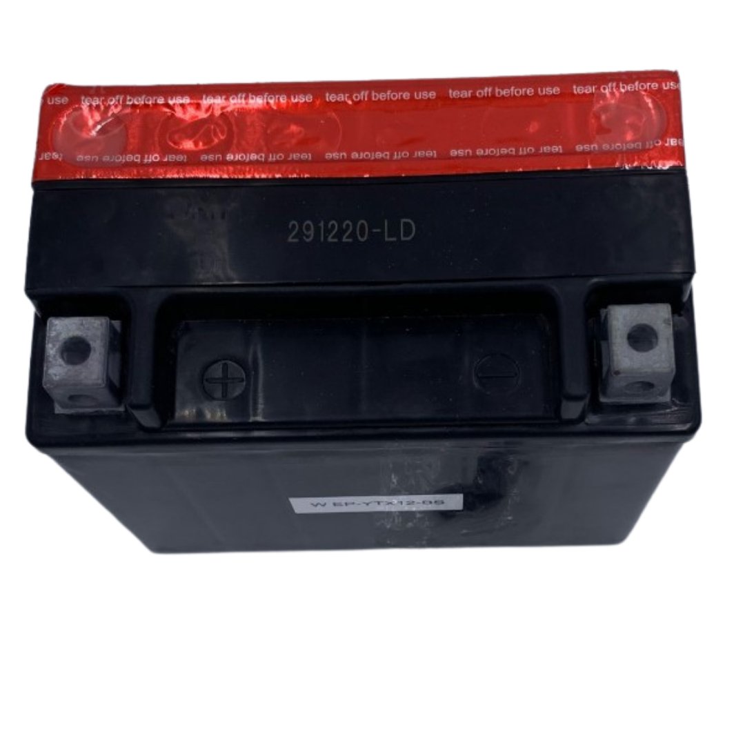 YTX12-BS Yuasa Replacement Battery - High Performance Power Sports & Motorcycle Battery - Compatible with ATVs, Motorcycles, and Jet Skis