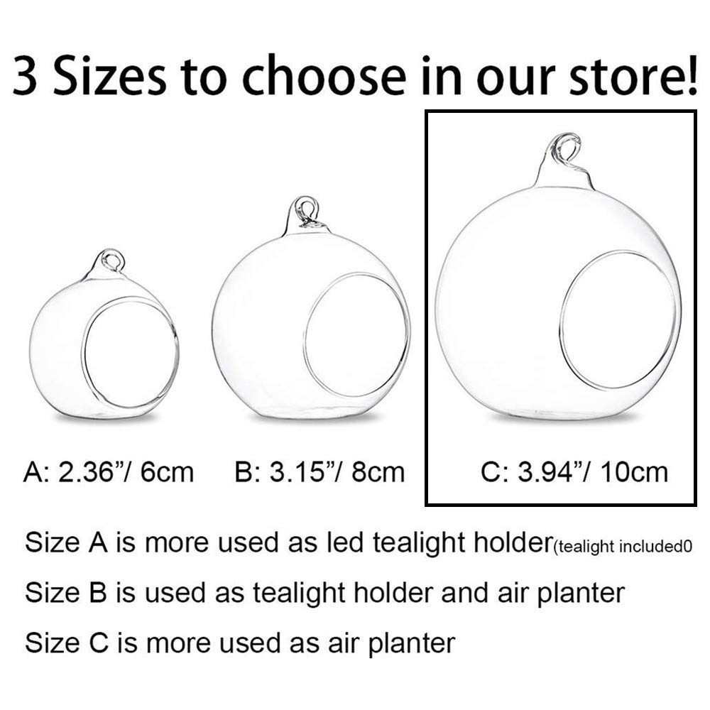 4 Pcs Hanging Glass Terrarium Planters - 4