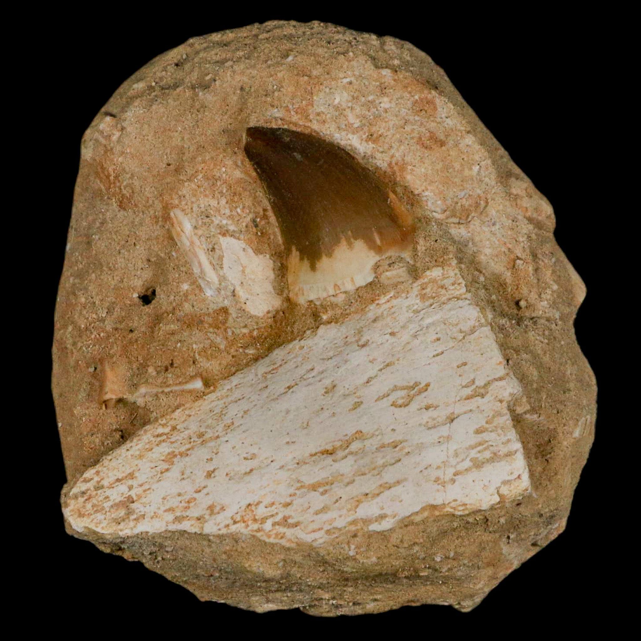 2.6
