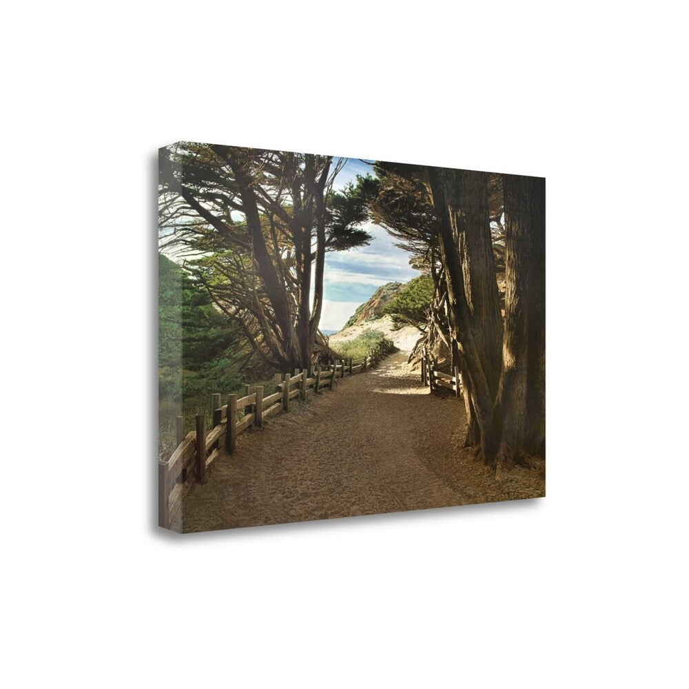 Big Sur Landscape Art by Michael Cahill - Premium Giclee Print on Gallery Wrapped Canvas - Ready to Hang Wall Decor for Living Room, Bedroom & Office