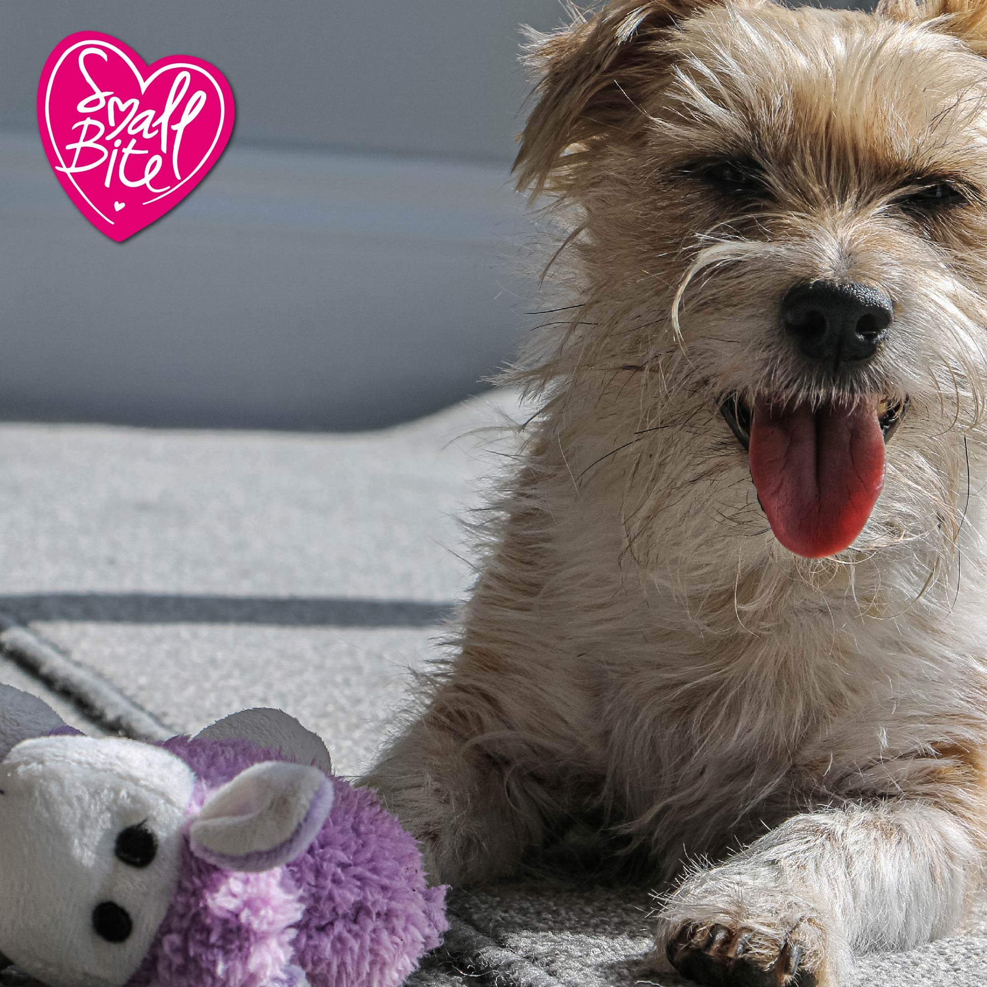 Soft Plush Lamb Chew Toy for Small Dogs & Puppies - Cute Lilac Puppy Teething Toy | Perfect for Teething Relief, Anxiety Comfort & Interactive Playtime