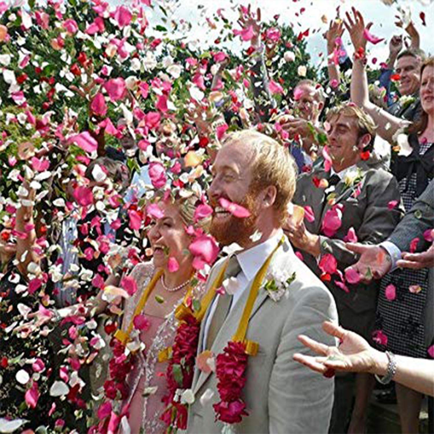 2000 PCS Silk Rose Petals - Artificial Flower Wedding Decorations for Romantic Nights, Valentine's Day, Bridal Showers & Anniversary Parties (Rose Pink, Bulk Pack) - Perfect for Table Scatters, Aisle Decor, Photo Backdrops & Romantic Proposals