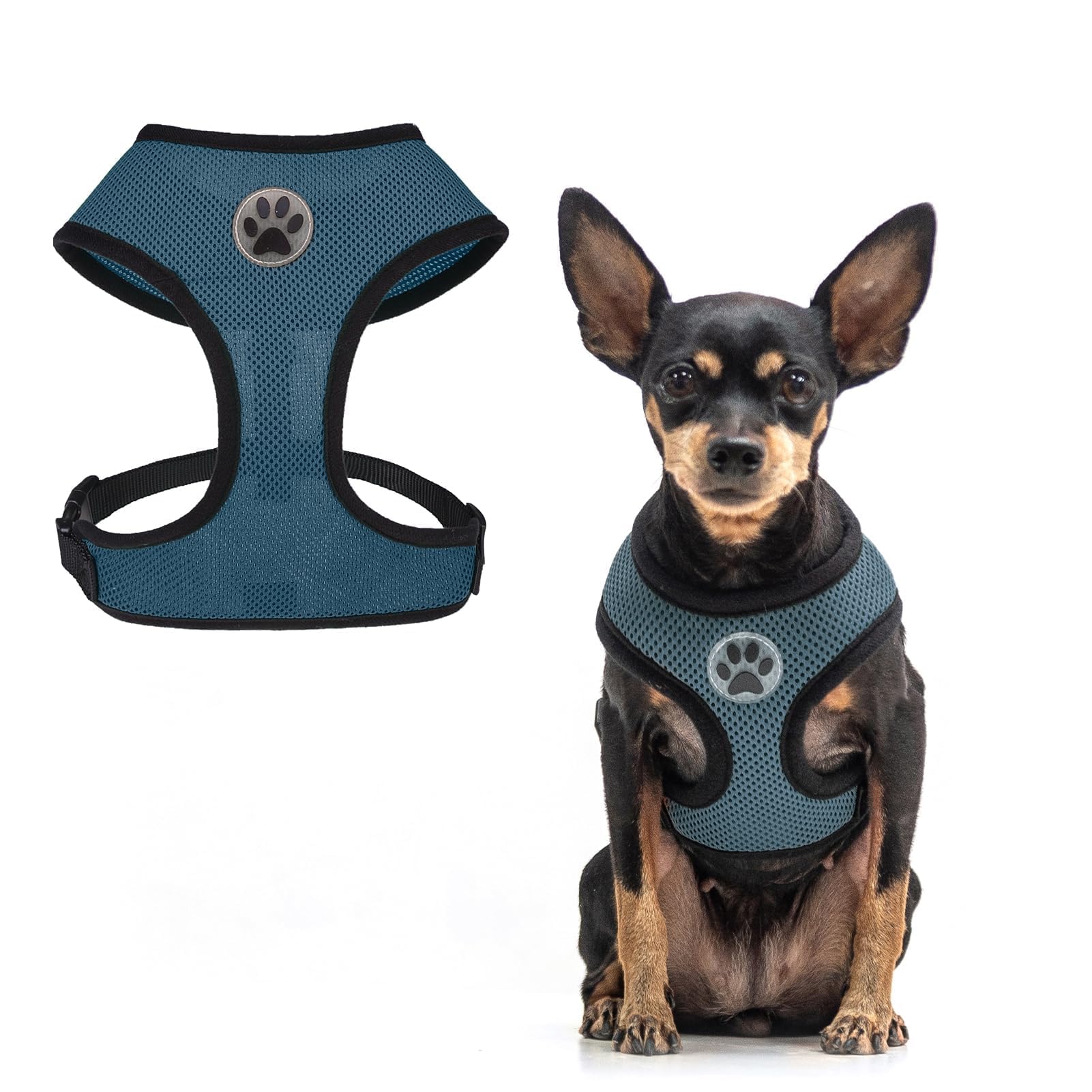 BINGPET Small Dog Harness - Breathable Mesh No-Pull Adjustable Vest for Puppies & Medium Dogs | Perfect for Walking, Training & Outdoor Adventures