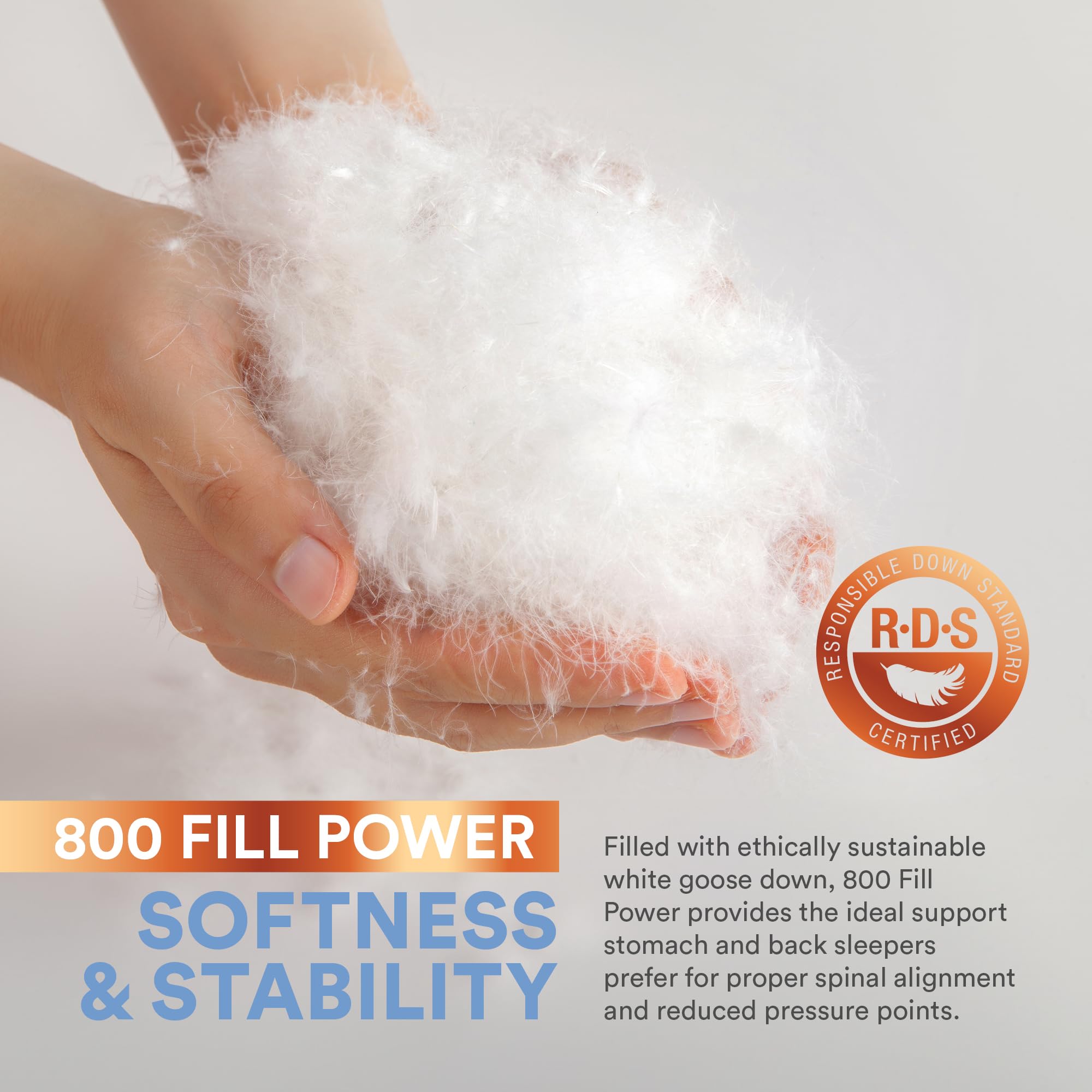 Premium 100% Siberian Goose Down Pillow - 800 Fill Power, Medium & Queen Size, White - Ultra Soft Luxury Bedding for Hotels, Guest Rooms & Home Comfort