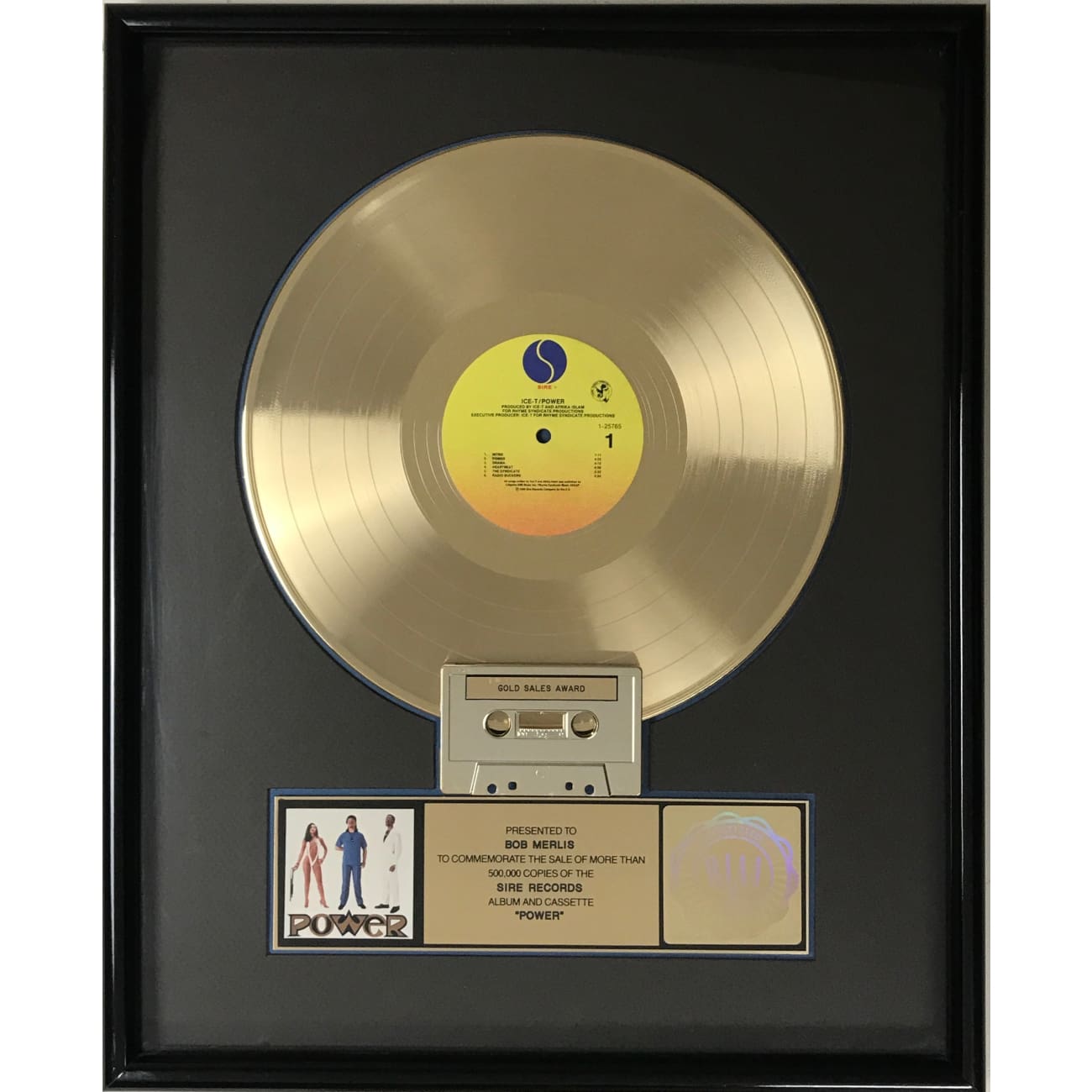 Ice T Power RIAA Gold LP Award - Certified Gold Record for Music Collectors - Perfect for Display in Studios, Music Rooms, and Collector's Showcases