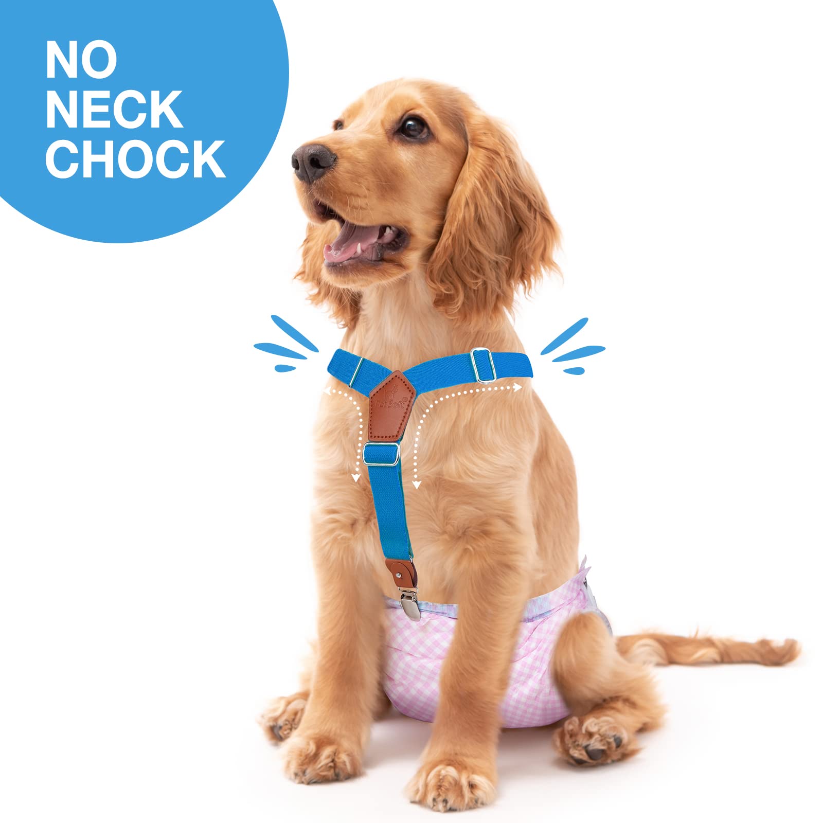 Pet Soft Dog Suspenders 2-Pack - Adjustable Diaper Suspenders for Small Dogs, XS/S Size - Secure Dog Diapers, Skirts & Dresses (Gold & Blue) - Perfect for Puppy Training, Fashion Outfits & Special Occasions