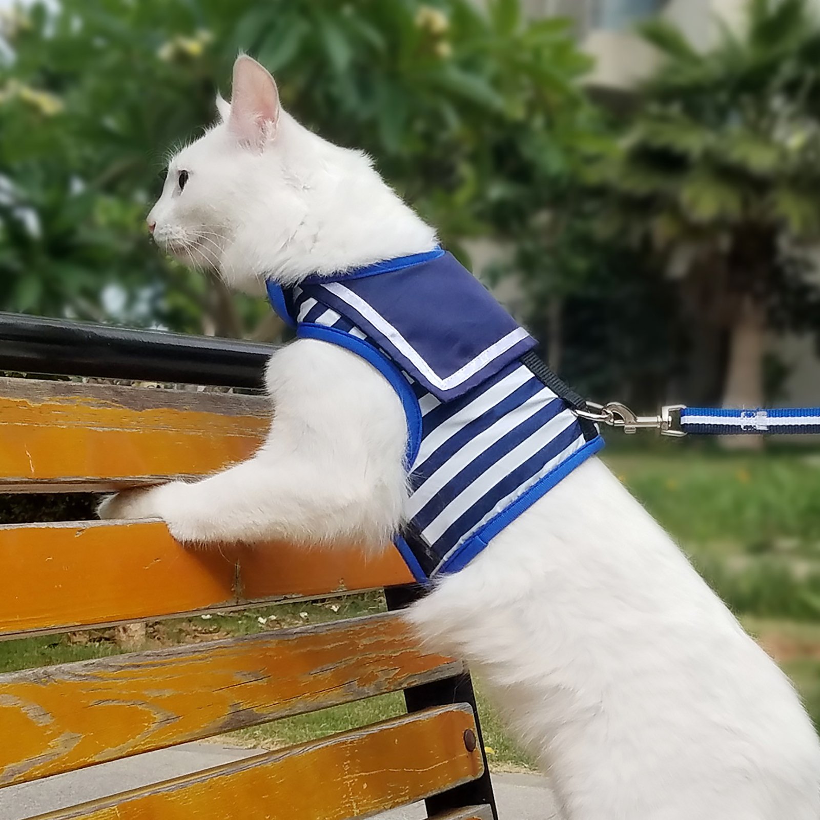 Escape-Proof Cat Harness and Leash Set - Adjustable Padded Vest Harness with Stylish Sailor Suit Design in Navy Blue (X-Small) - Perfect for Safe Outdoor Walks, Travel & Adventure
