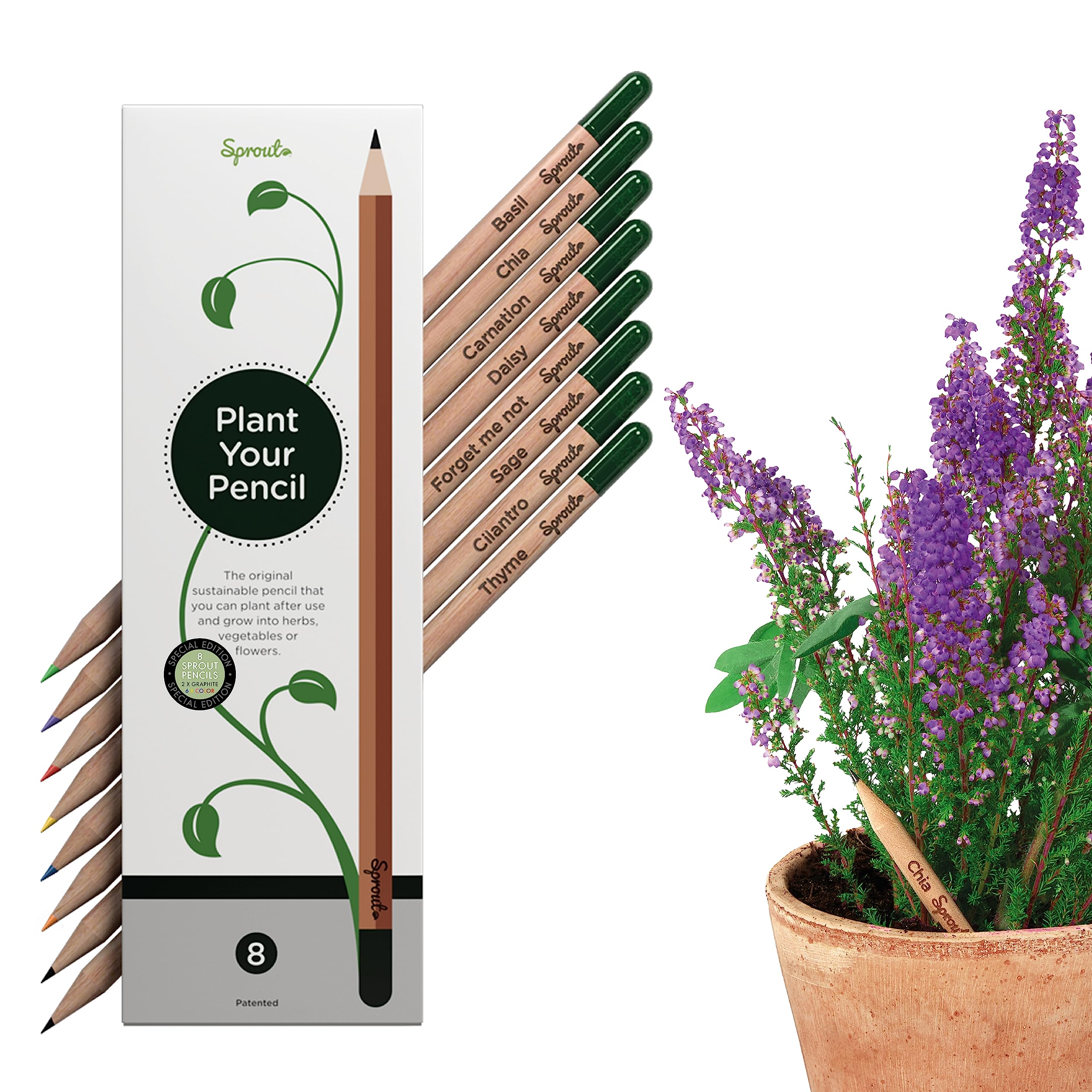 Plantable Wooden Pencils with Seeds - 8 Pack Pre-Sharpened HB Graphite & Colored Pencils for Drawing, Writing & Coloring Books | Eco-Friendly Gift with Flower, Herb & Vegetable Seeds | Perfect for Artists, Students & Office Use