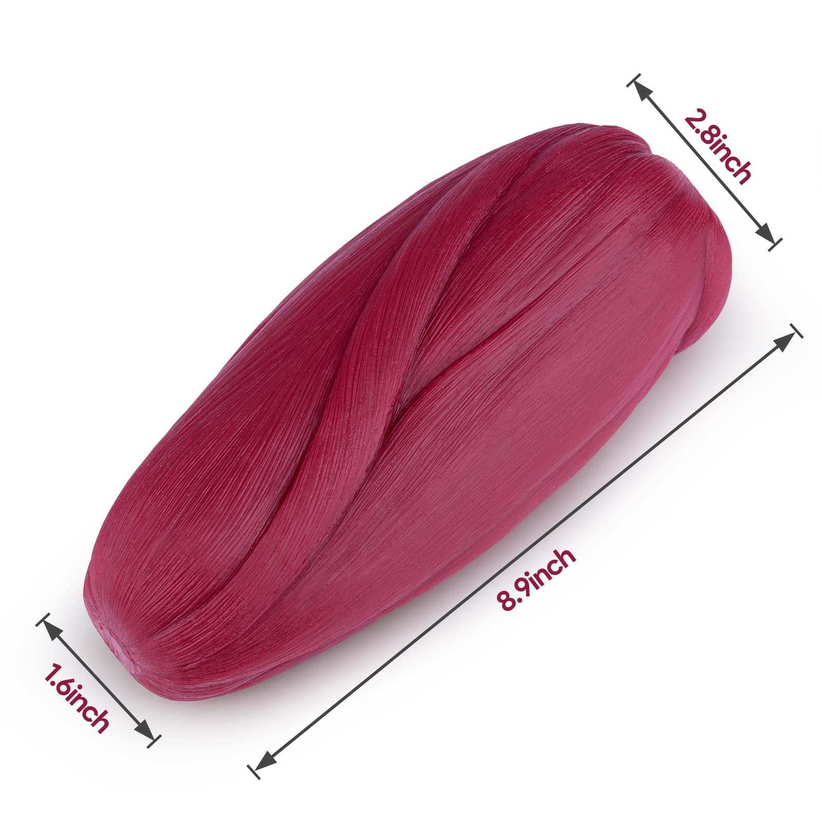 5 lb Human Body Muscle Replica Model - Anatomical Fitness Training Aid for Gym Enthusiasts, Athletes & Nutritionists | Perfect for Home Workout Motivation & Medical Education