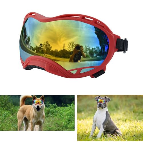 Red Frame &Colored Lens/Large