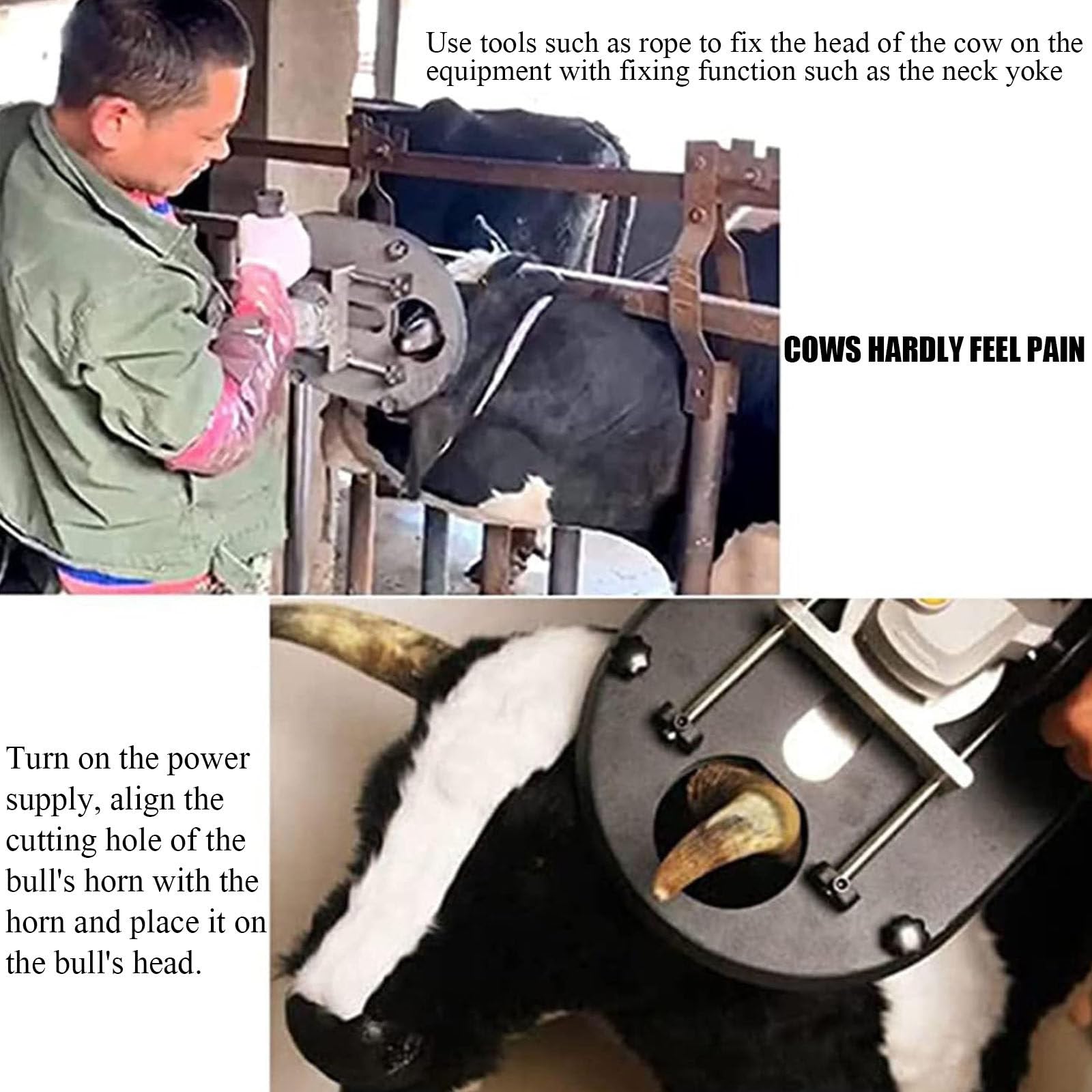 Electric Cattle Dehorner for Adult Cows & Goats - Safe & Reliable Animal Horn Removal Tool for Sheep, Calves & Livestock - Perfect for Farm, Ranch & Veterinary Use (Blue)