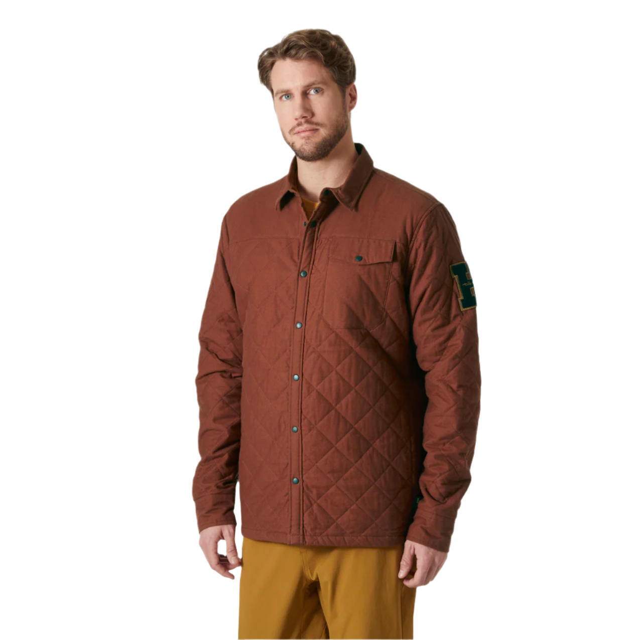 301 Iron Oxide