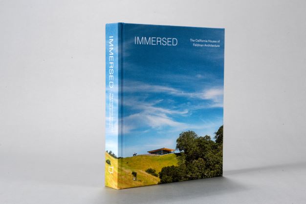 Immersed: Stunning California Houses by Feldman Architecture | Modern Luxury Home Design for Coastal & Hillside Living