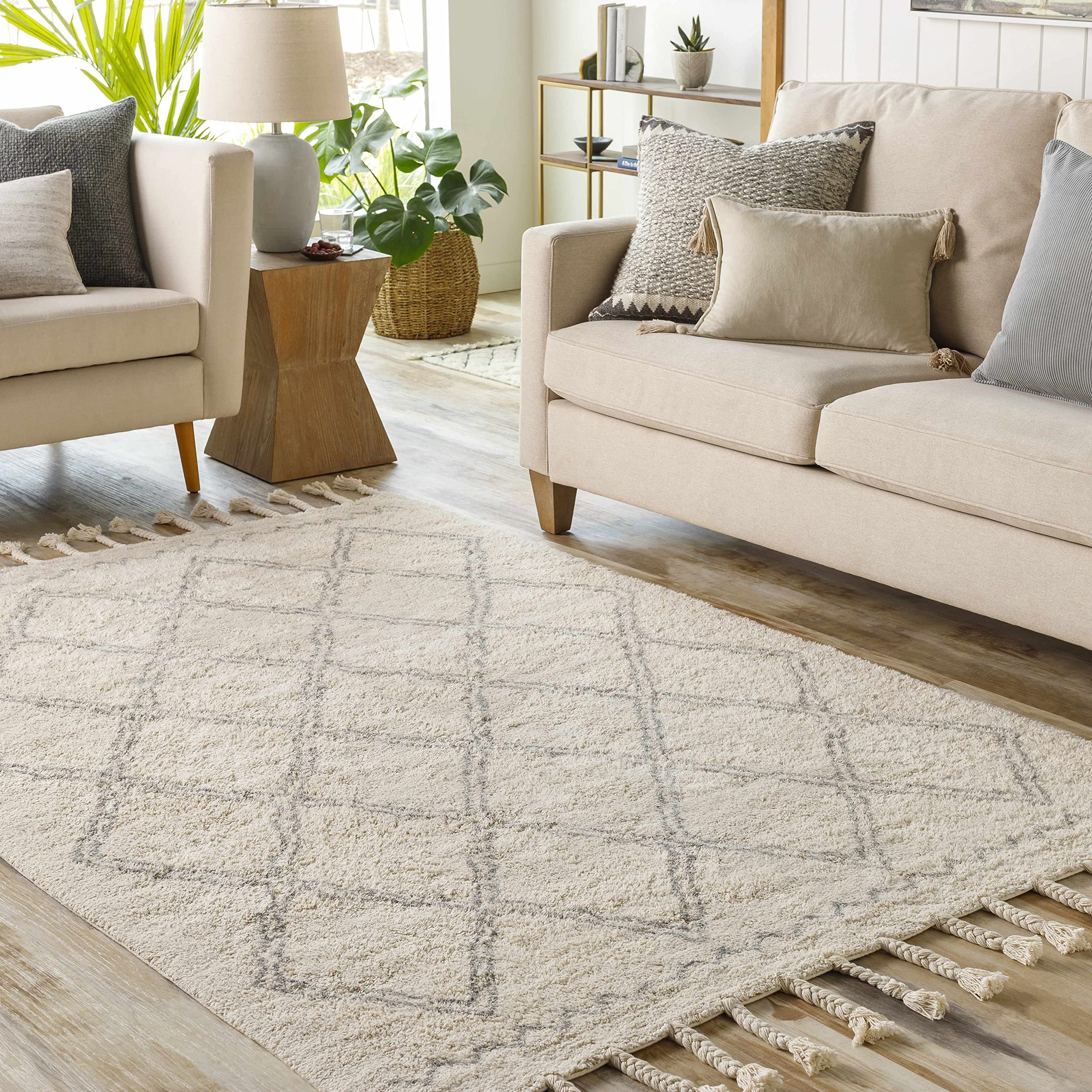 Bohemian Transitional Area Rug 8' x 10' - Gray & Cream Handwoven Rug for Living Room, Bedroom - Hauteloom Harvester Collection | Perfect for Boho Chic Decor, Cozy Home Makeover