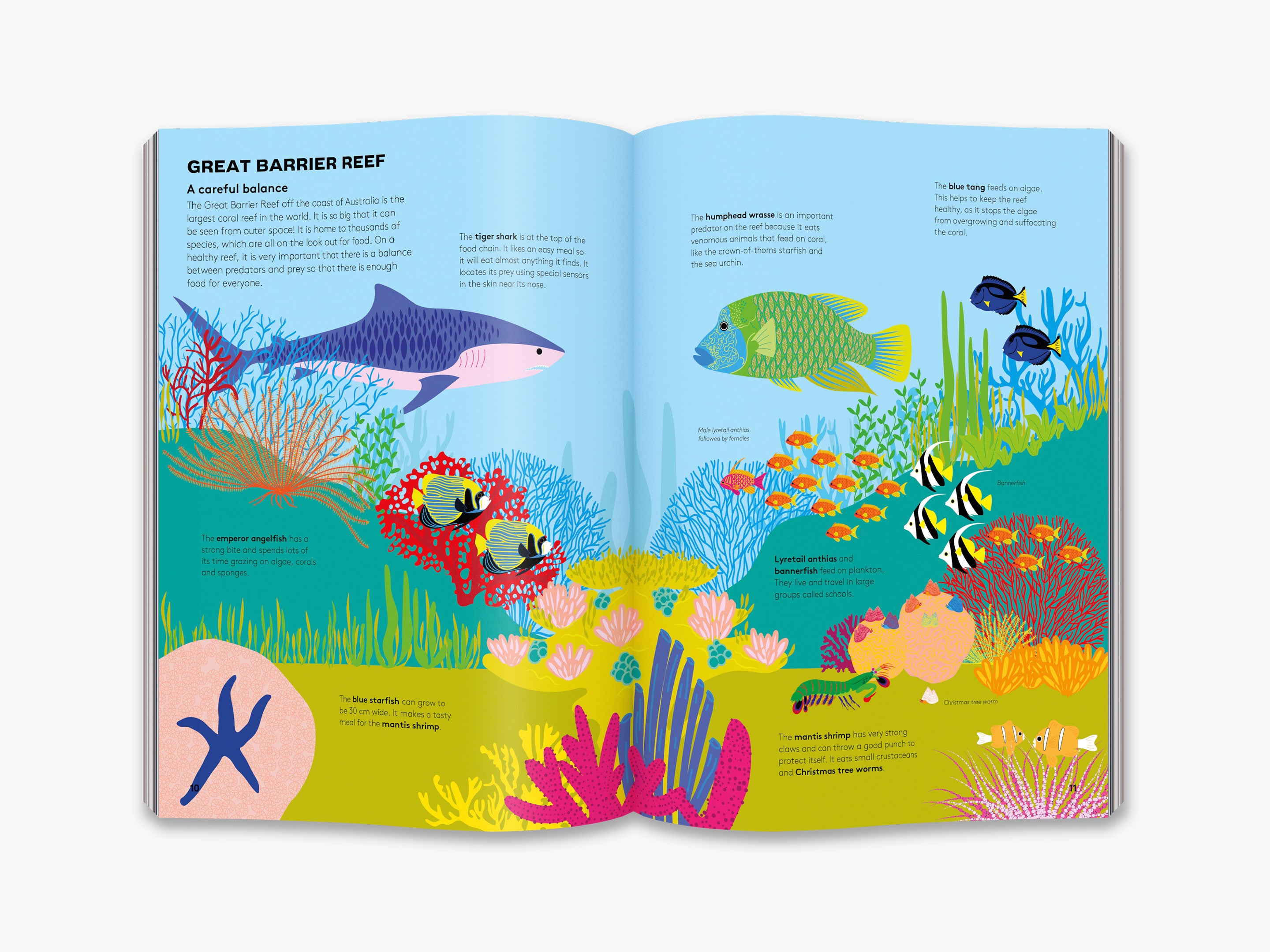 Dart and Dive Across the Reef: Extreme Marine Adventure Game for Kids - Perfect for Ocean-Themed Parties & STEM Learning