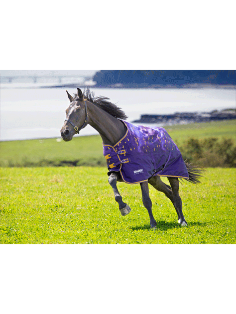 Shires Tempest Lightweight Turnout Blanket 0g Fill - Perfect for Mild Weather Horse Riding and Stable Use