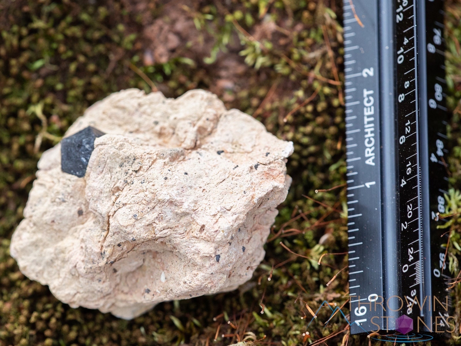 Natural Smoky Quartz Crystal Cluster - Raw Healing Stone for Home Decor, Housewarming Gift & Spiritual Energy (39864) - Perfect for Meditation, Feng Shui & Positive Vibes