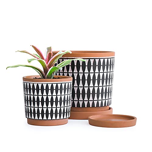 Pottery Red/Black