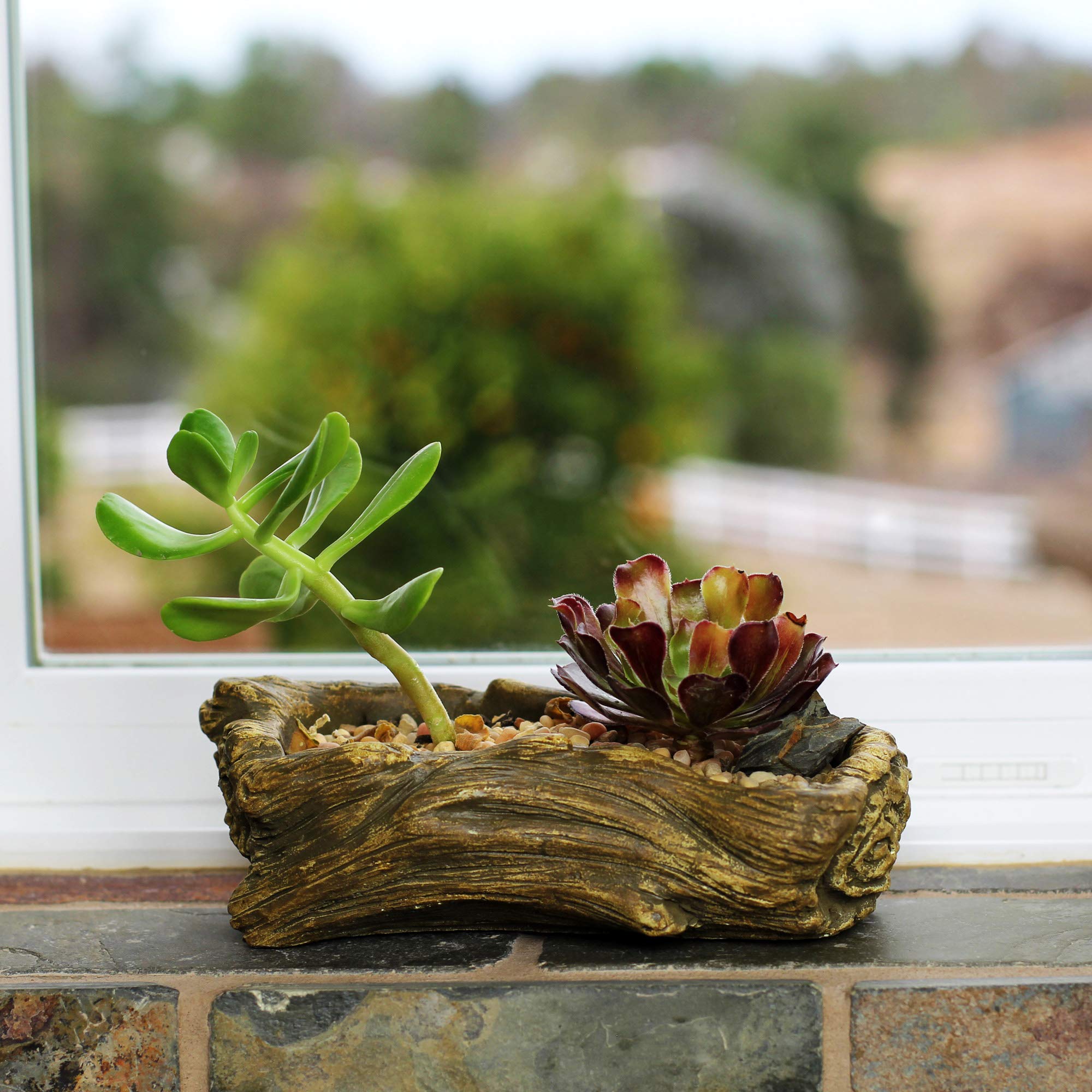 Ceramic Wood Plant Pot - Indoor Wood Planter for Succulents, Flowers & Small Plants | Unique Driftwood Whale Log Planter | Perfect for Home Decor, Office Desk & Gift Ideas