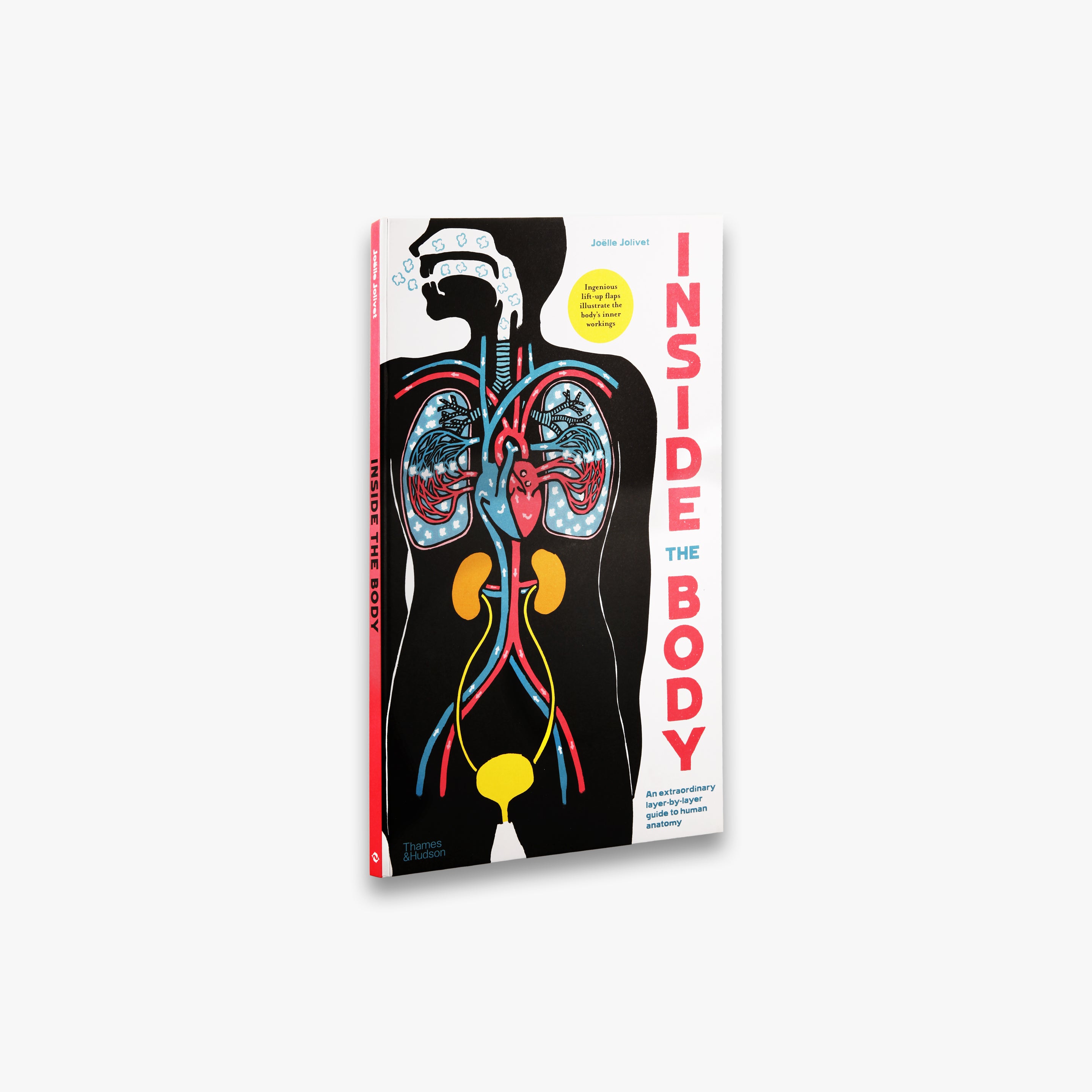 Inside the Body - Human Anatomy Model for Medical Students & Educators | Perfect for Classroom Learning & Home Study