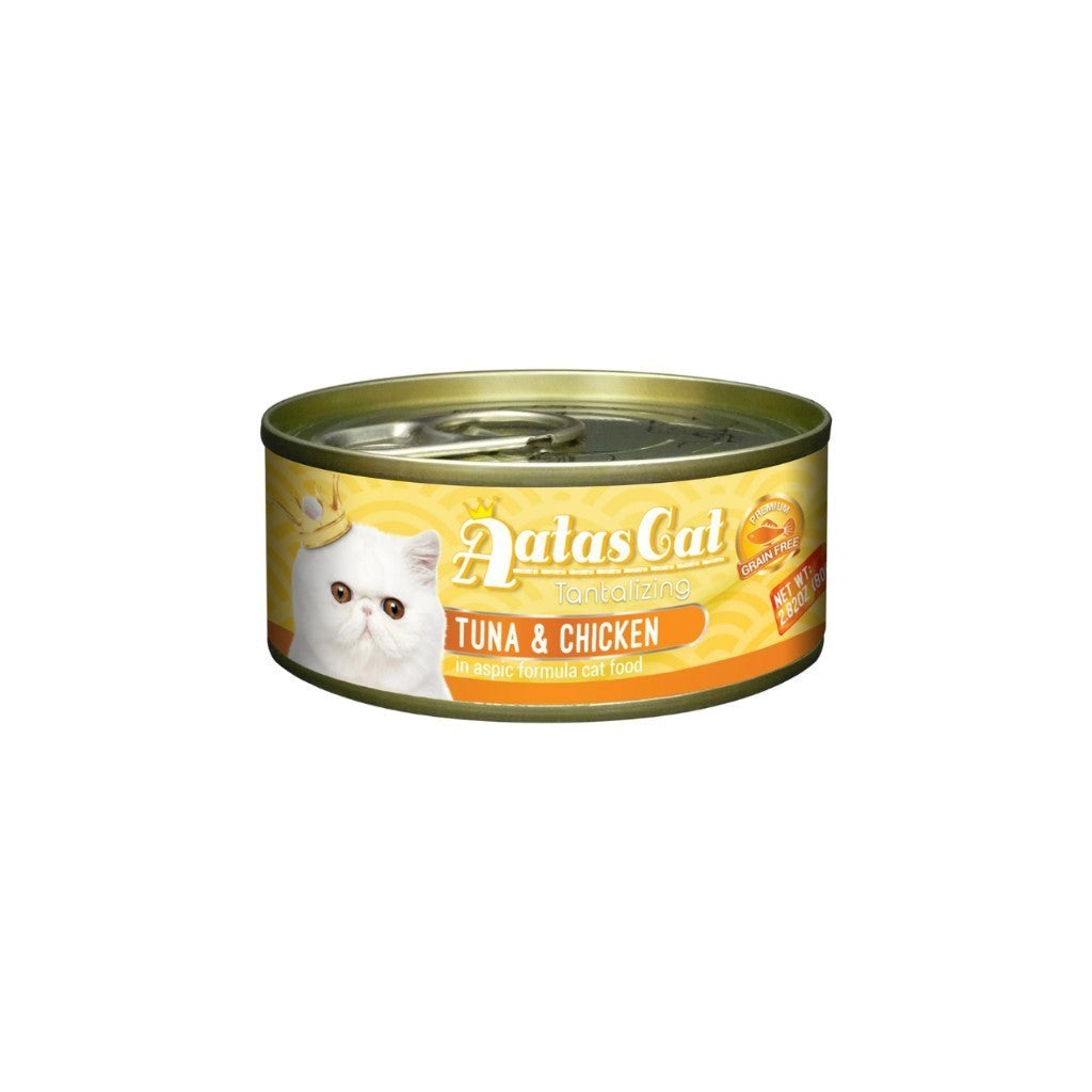 Premium Grain-Free Chicken Flavor Wet Cat Food - Nourishing Formula, Easy to Digest, Irresistibly Tasty - Perfect for Mealtime, Treats & Picky Eaters