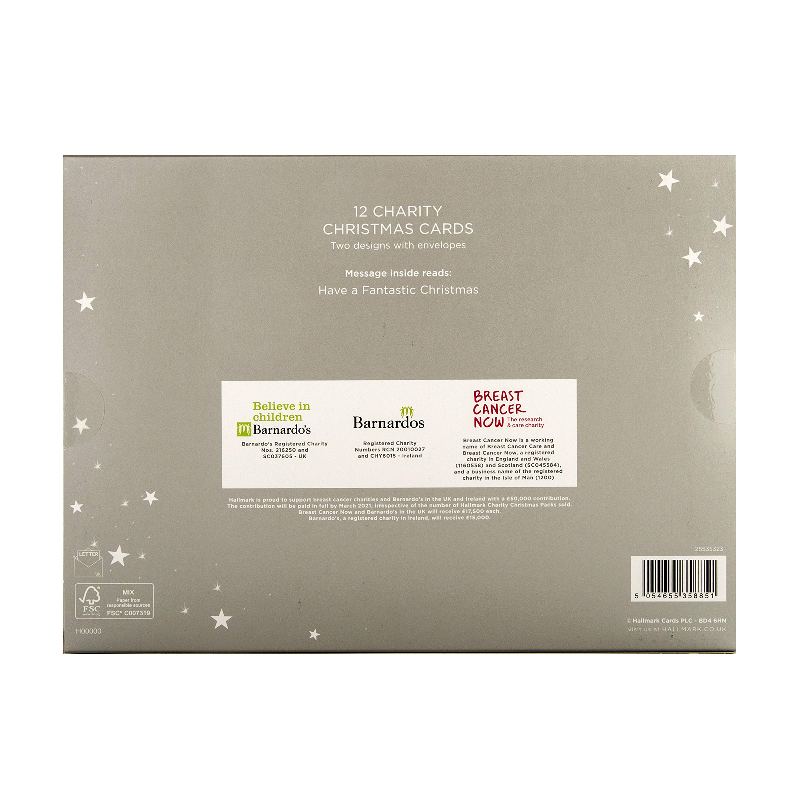 Hallmark Christmas Charity Cards - 12 Boxed Holiday Greeting Cards with 2 Modern Illustrated Designs | Perfect for Gifts, Office Exchanges & Festive Home Decor