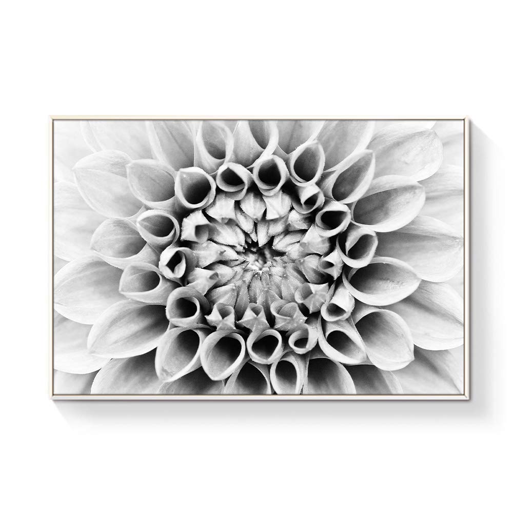 Floating Framed Canvas Wall Art - Black Flower Print - 24x36 Inches - Ready to Hang - Modern Home Decor for Living Room & Bedroom - Perfect for Housewarming Gifts & Interior Design