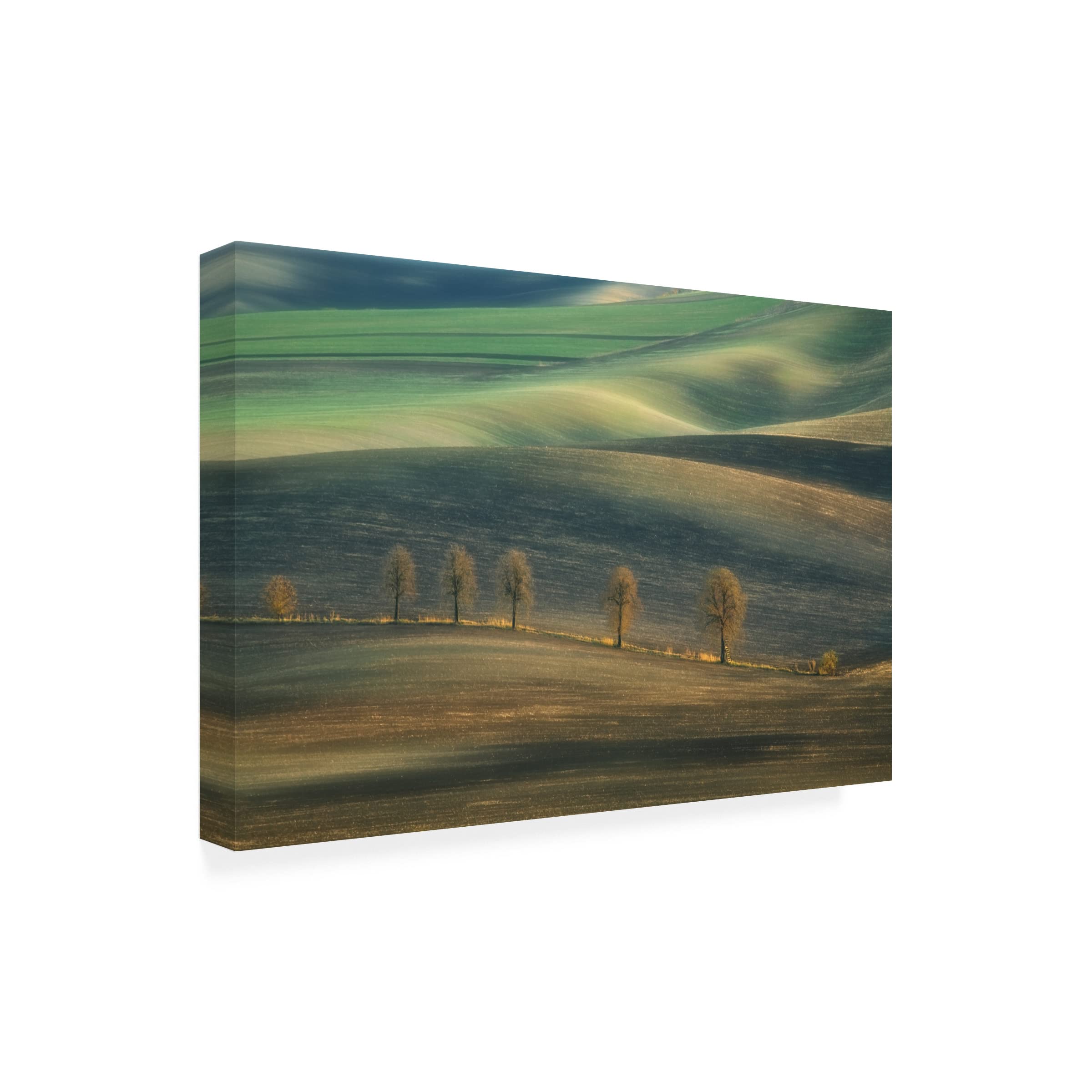 Trademark Fine Art 'Seven Trees' Canvas Wall Art by Krzysztof Browko - Modern Landscape Painting for Living Room, Bedroom & Office Decor
