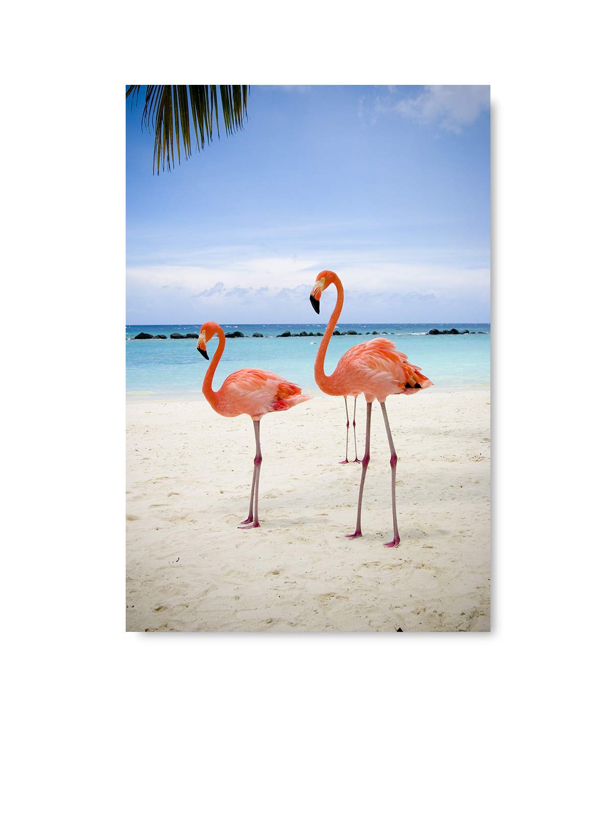 Pink Flamingo Wall Art Decor - 8x12 Inch Tropical Beach Themed Poster, Flamingo Illustration for Room & Bathroom Decoration - Perfect for Coastal, Boho & Nursery Decor Styles