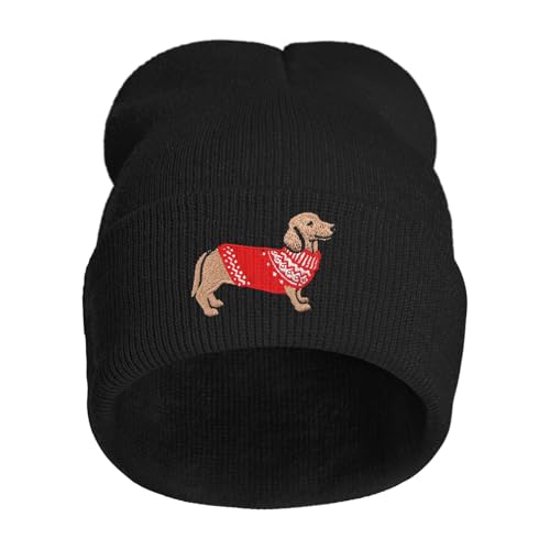 Dachshund Dog