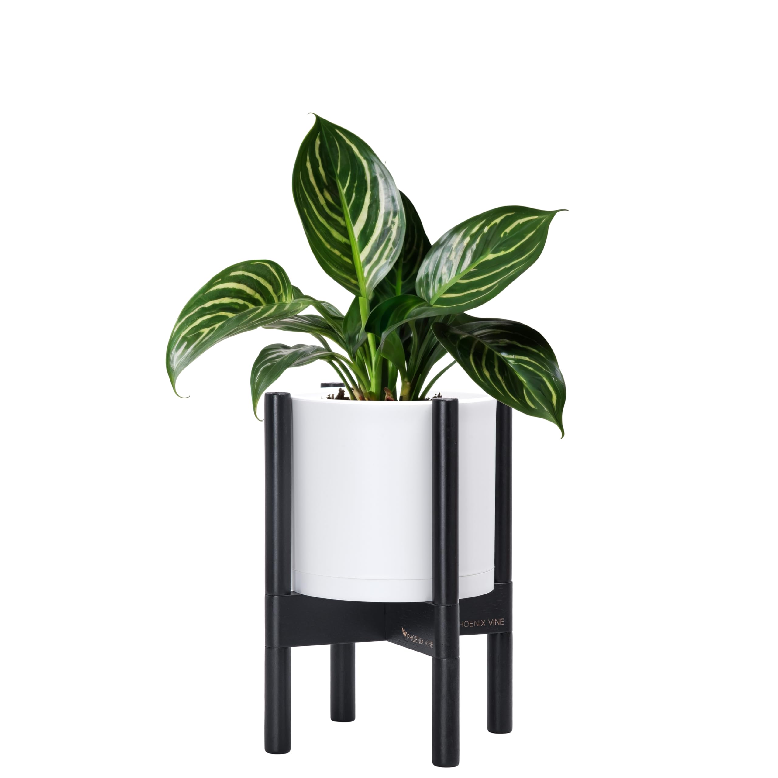 D'vine Dev 8 Inch Plastic Cylinder Flower Pot with Wood Stand - Modern Matte White Planter + Ebony Holder for Indoor Plants, Succulents, Herbs - Perfect for Home, Office, Living Room Decor