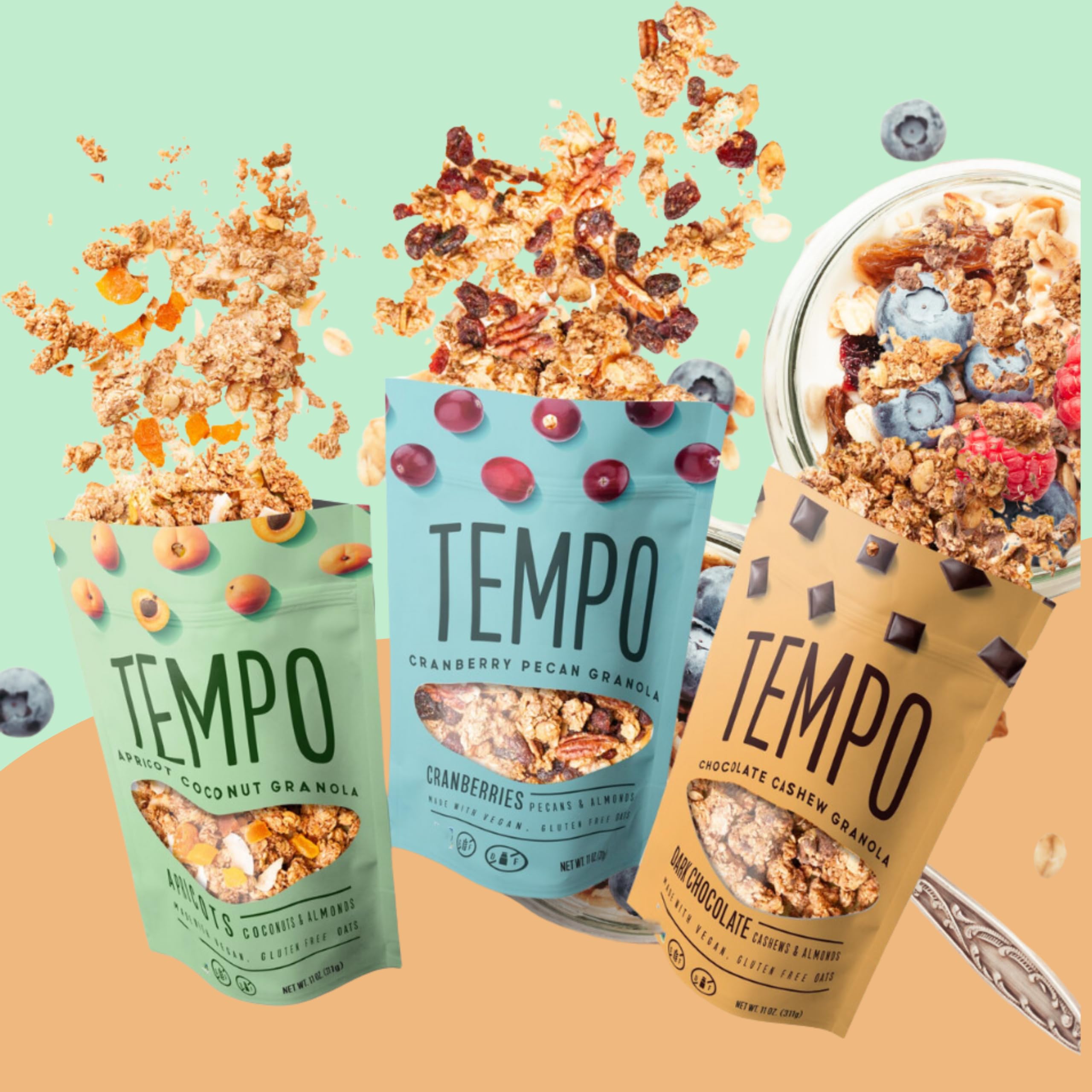 TEMPO GRANOLA Apricot Coconut Almond Granola Clusters (6 Pack) - Gluten Free Oats, High Protein, Low Sugar, Vegan, Dairy Free, Soy Free, Vitamin E & Prebiotics for Gut Health - Perfect for Breakfast, Snacking & Healthy Lifestyle